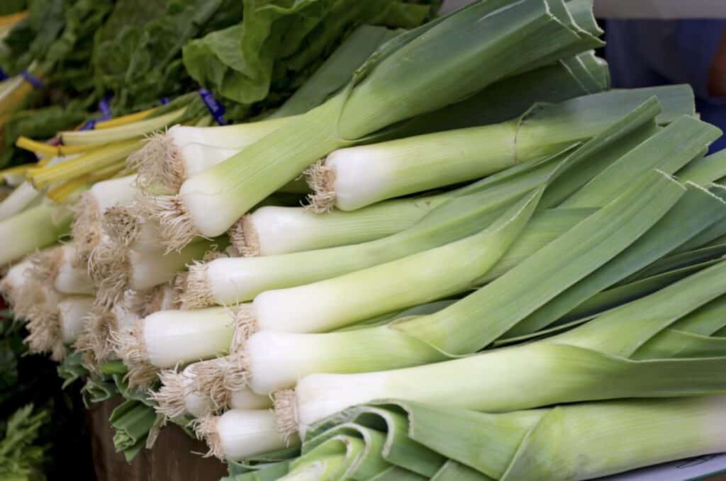 leek